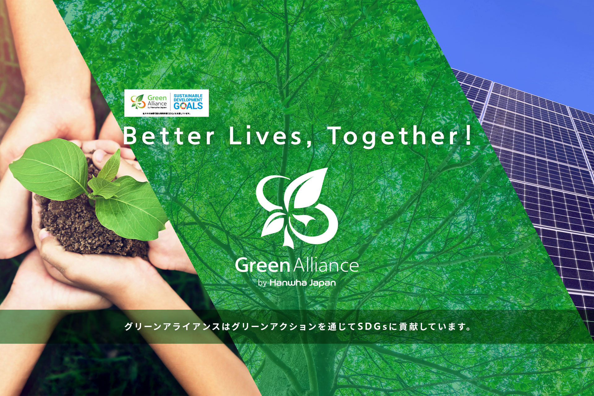 グリーンアライアンスはグリーンアクションを通じてSDGｓに貢献しています。